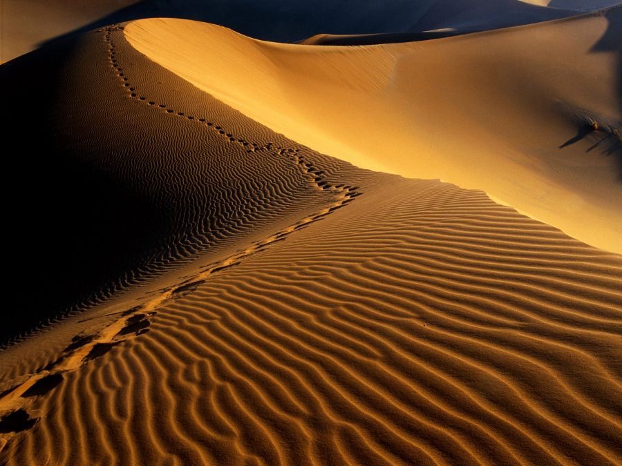 5-کویر مرنجاب کاشان