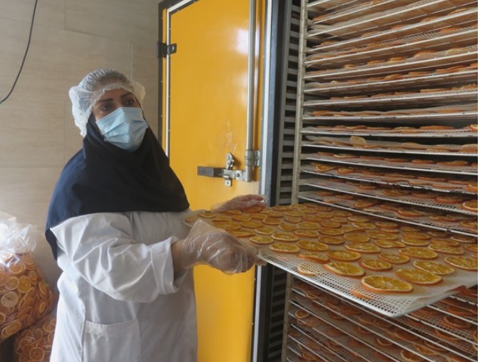 دستگاه میوه خشک کن-کاماپرس