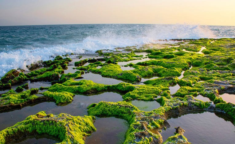 چابهار-کاماپرس