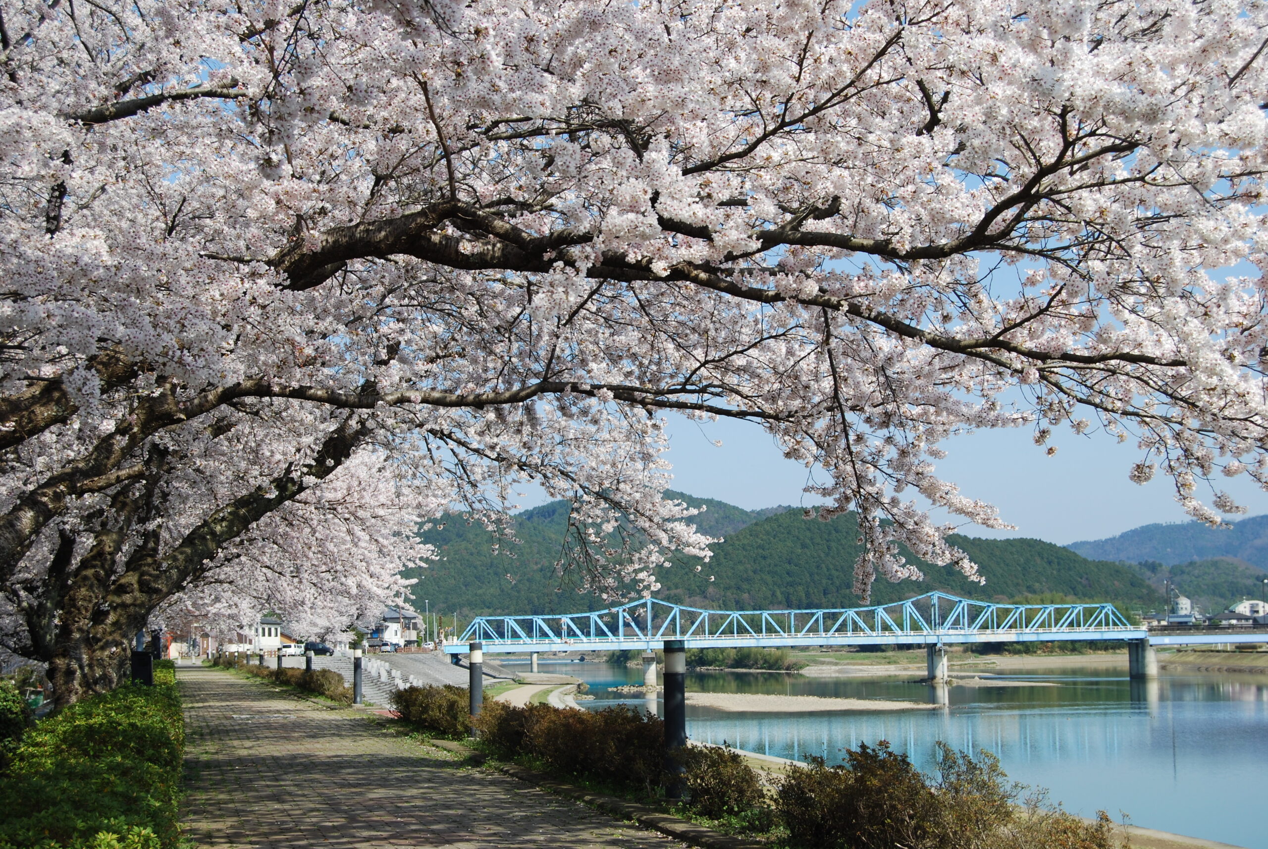 مکان‌های رمانتیک برای یک سفر دونفره در آسیا