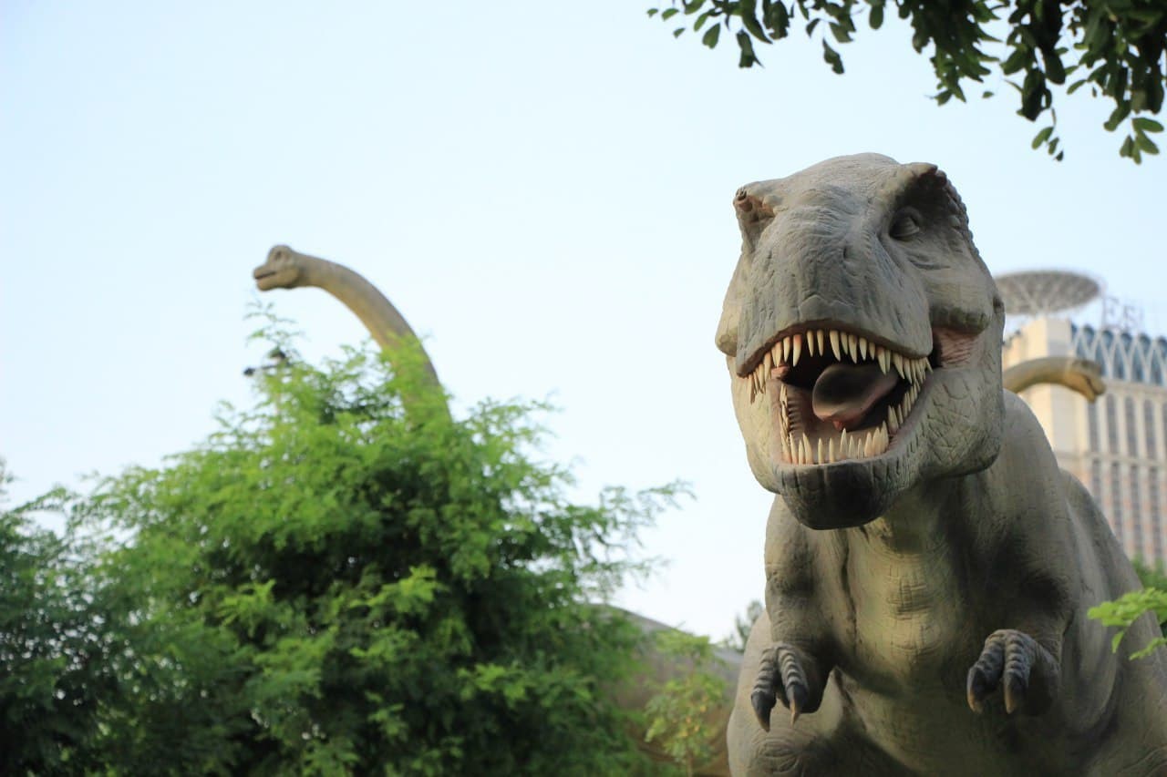 ژوراسیک پارک و اسپایدر پارک - کاماپرس