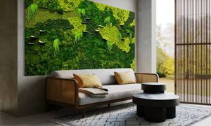 اشتباهات مهلک در نگهداری از دیوار خزه ای