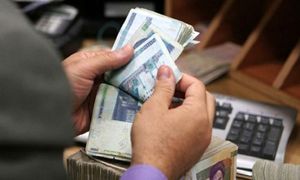 کدام وام بانک اقتصاد نوین به ضامن نیاز ندارد؟