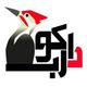 دارکوب