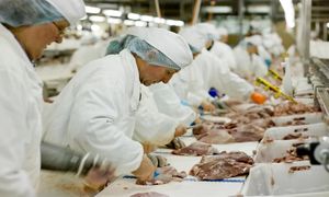 ارزشمندترین برندهای صنایع غذایی جهان را بشناسید