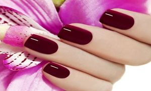 6 نکته که باید درباره شرکت سدما بدانید