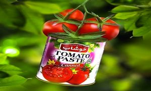 صنایع غذایی خوشاب ؛ 7 نکته خواندنی که باید بدانید