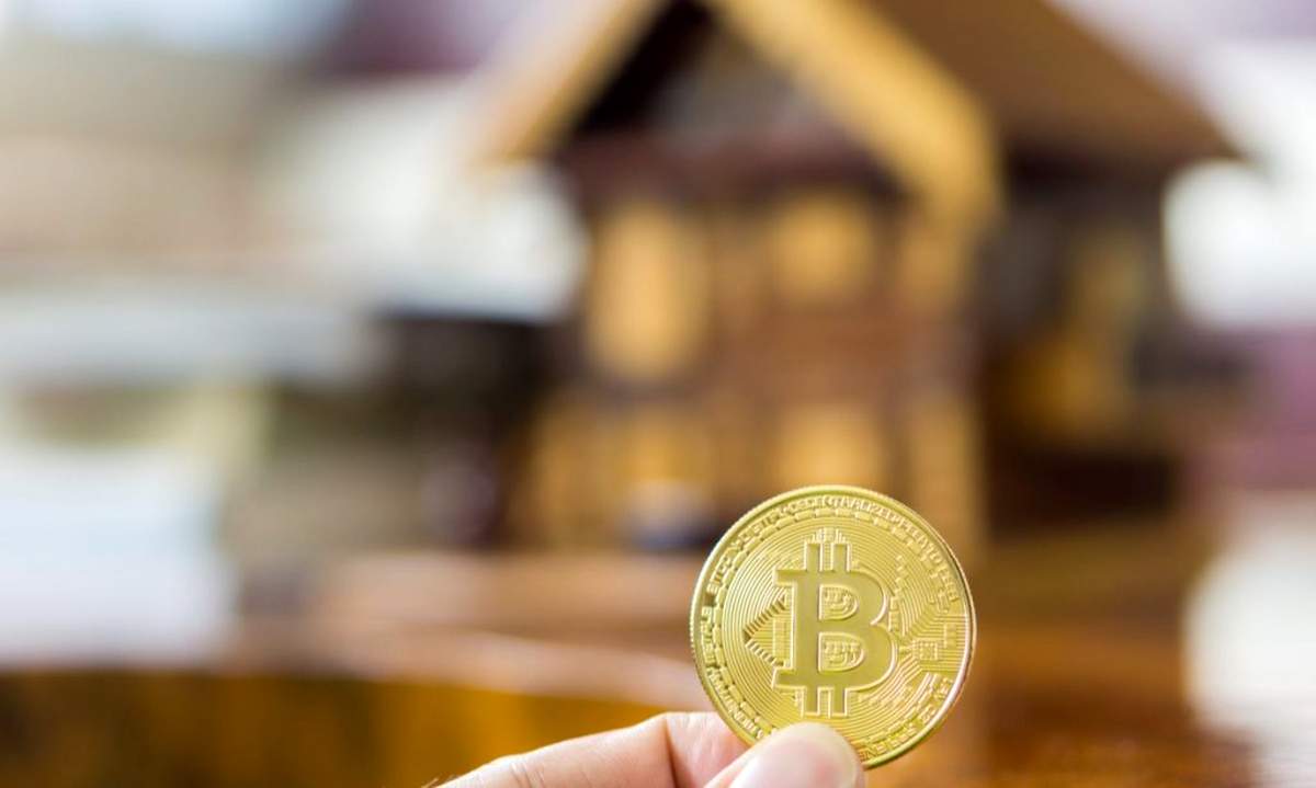 قیمت بیت کوین روز 13 شهریورماه 1401/ پایین ترین نرخ تسلط برای رمزارز برتر رقم خورد