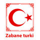 موسسه زبان ترکی