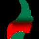 ایران فیشیال