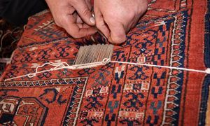 آشنایی با رفو فرش و مراحل مختلف آن