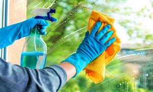 قیمت انواع شیشه پاک کن در بازار چند؟