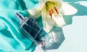 خوشبوترین عطر خنک زنانه