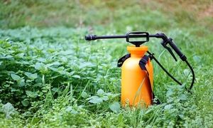 ارزان ترین سم پاش دستی در بازار چند؟