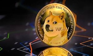 بهترین میم کوین های بازار برای سال 2023