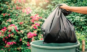 بهترین کیسه زباله را از کجا سفارش دهیم؟