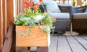 6 ایده جذاب برای تزئین دکوراسیون با فلاورباکس
