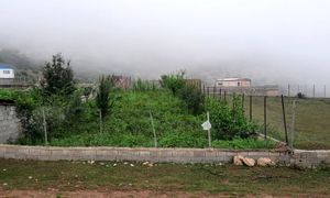 دلایل رونق گرفتن معامله و اجاره زمین در سوادکوه