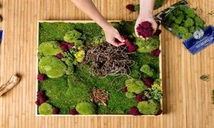 هنر استفاده از قاب‌‌ خزه‌ای در خلق اثر جاودانه از طبیعت