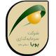 سرمایه گذاری پویا