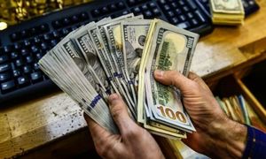دلار 250 تومان گران شد