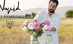 قیمت عطر نوید محمد زاده با رایحه ملایم و تلخ چند؟!