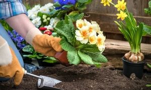 ایده های جالب برای گل کاری حیاط خانه (ویدیو)