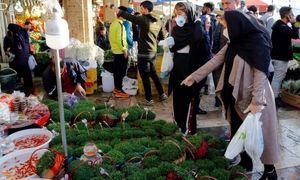 سریعترین روش کاشت سبزه عید برای نوروز 1403 (ویدیو)