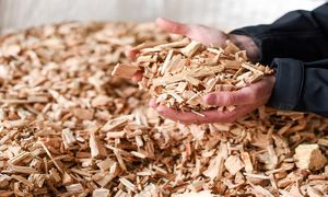 کاربرد چیپس چوب در صنعت فولاد