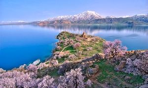 قیمت تور گروهی وان در سال ۱۴۰۳