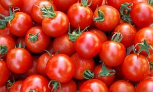 گرانی گوجه فرنگی مقطعی است
