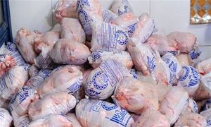 ۳ نشانه برای ارزان شدن مرغ