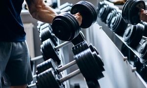 بهترین باشگاه ورزشی در شیراز کدام است؟