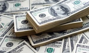 ادعای فعال بخش خصوصی: 22 میلیارد دلار ارز ناپدید شد