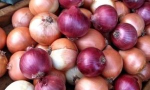 ارزان ترین اقلام غذایی در تیرماه
