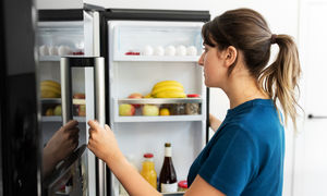 یخچال فریزر دوو بخریم یا ایکس ویژن؟