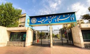 تپسی در دانشگاه شریف مسابقه کدوکدیل برگزار می کند