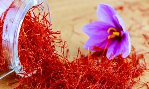 حضور زعفران نوین در نمایشگاه گلفود منیوفکچر دبی