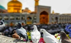 زیارت و سیاحت با تور مشهد