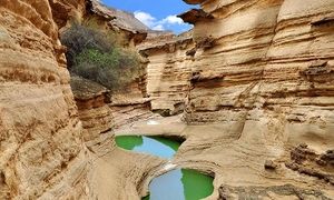 سفری خاطره ‌انگیز به جنوب با تور قشم