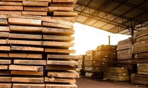 قطب صنعت واردات چوب روسی و چوب راش در ایران