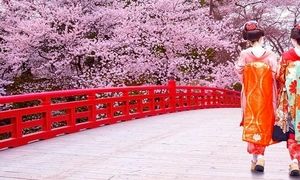 رزرو تور نوروزی ژاپن برای دیدن شکوفه های گیلاس از آمیتیس تراول