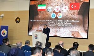 تقویت فعالیت تجاری بین ایران و ترکیه در بخش کشاورزی