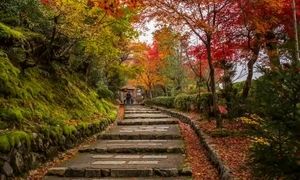 5 جاذبه گردشگری تور ژاپن که در نوروز 1404 می توانید ببینید