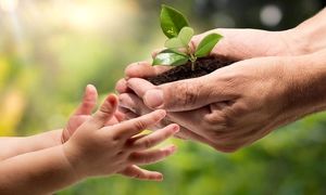 حمایت مالی دیوار از ایده‌ های محیط زیستی