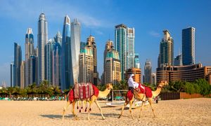 بهترین قیمت تور دبی را از کجا پیدا کنیم؟