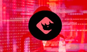 رشد غیرقابل باور قیمت باینری ایکس در بدترین روزهای بازار