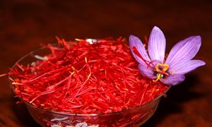 حضور نوین زعفران در سومین نمایشگاه اختصاصی اوراسیا