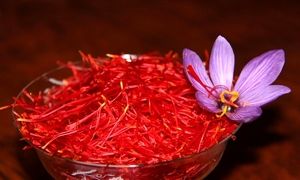 حضور نوین زعفران در سومین نمایشگاه اختصاصی اوراسیا