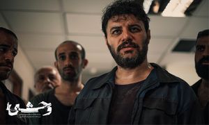 برگ برنده سیدی در «وحشی» چیست؟